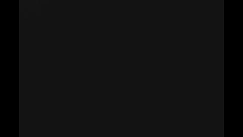 16163