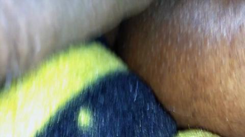 21241