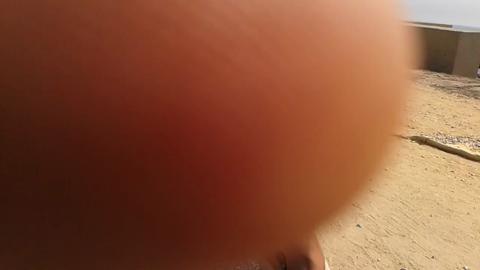 20083
